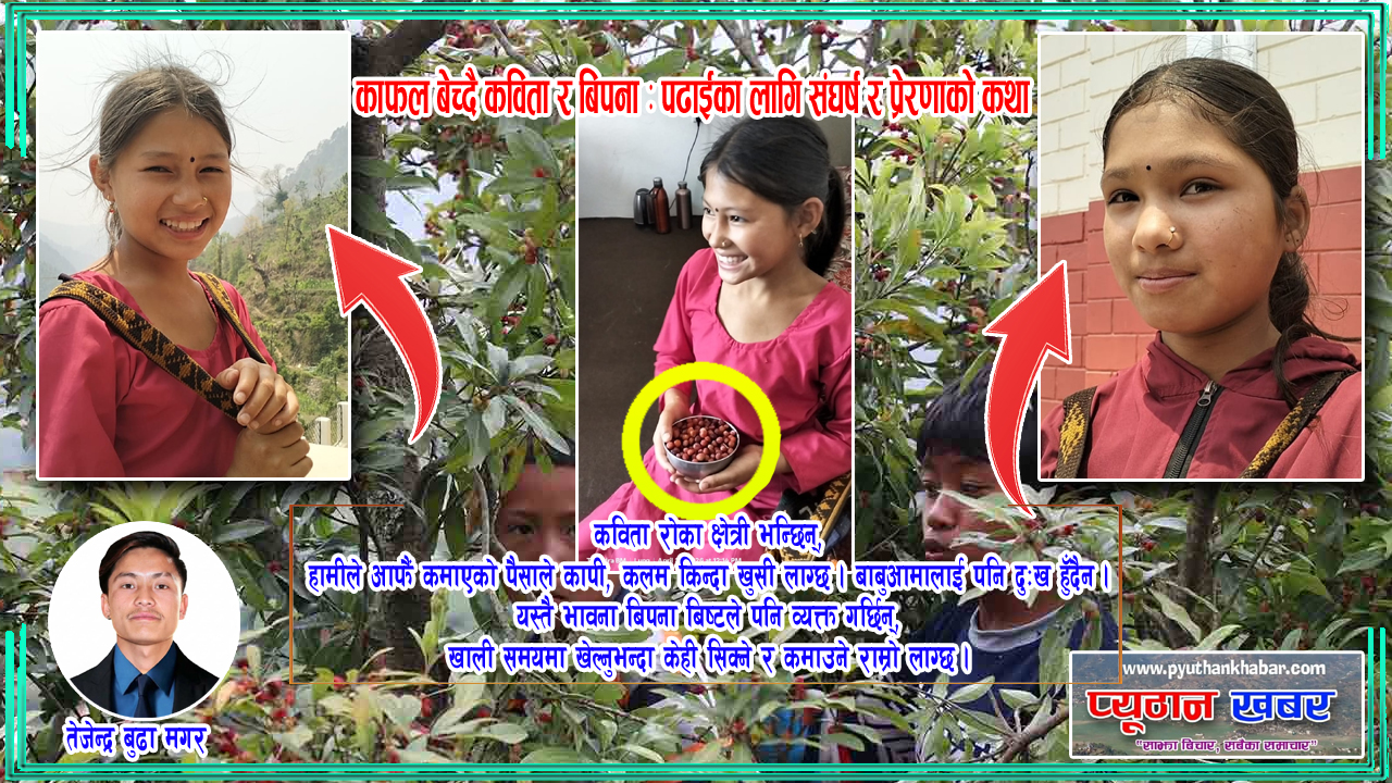काफल बेच्दै कविता, बिपना : पढाइका लागि संघर्ष र प्रेरणाको कथा